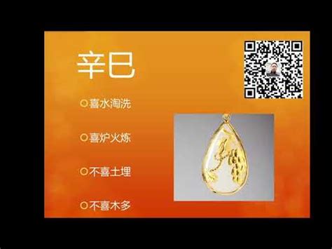 白蠟金職業|【白蠟金職業】揭開白蠟金職業禁忌！適合城市與工作選擇秘笈